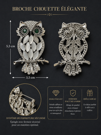 Broche hiboux argent strass